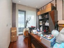 陆家嘴北滨江板块次新小区全屋落地窗大客厅价格低