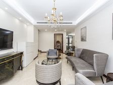 新天地11年人车分流小高层高区边套带车位