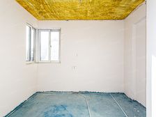 江南园林小区小高层推窗见绿闹中取静价格可议!