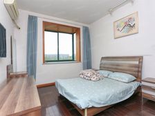 凤凰家园南北正通三房两南一北户型电梯房