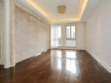 黄埔江沿线 一线江景房 被低估的楼盘 价格实惠