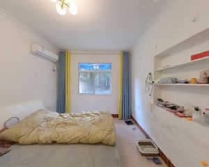 省邮电管理局宿舍 精装修 拎包入住